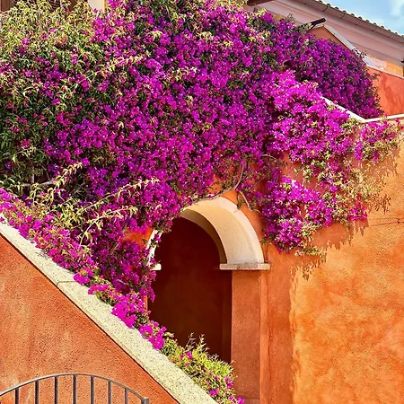 Ξενοδοχείο με διαμερίσματα Borgo Punta